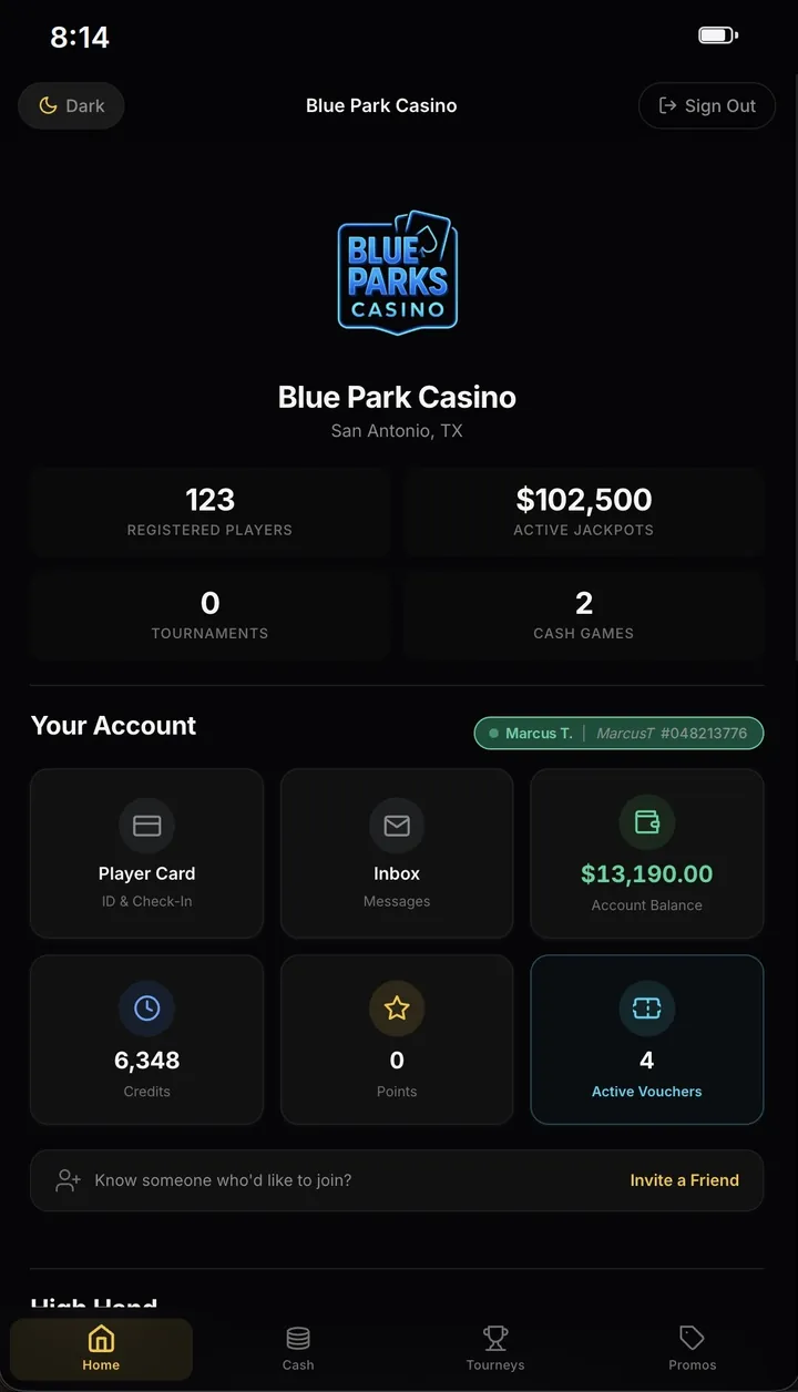 The player&rsquo;s account in the app, with their account balance